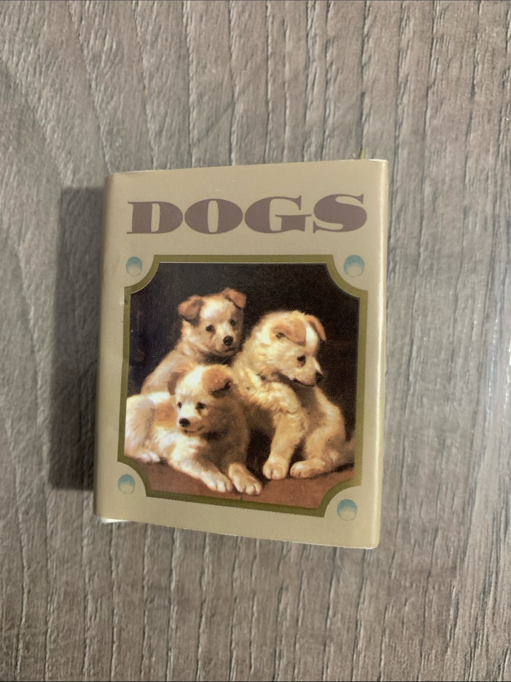 Dogs by Shawn Hartley Hancock Tiny Tomes Tiny Book